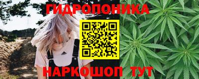 гашиш Гусев
