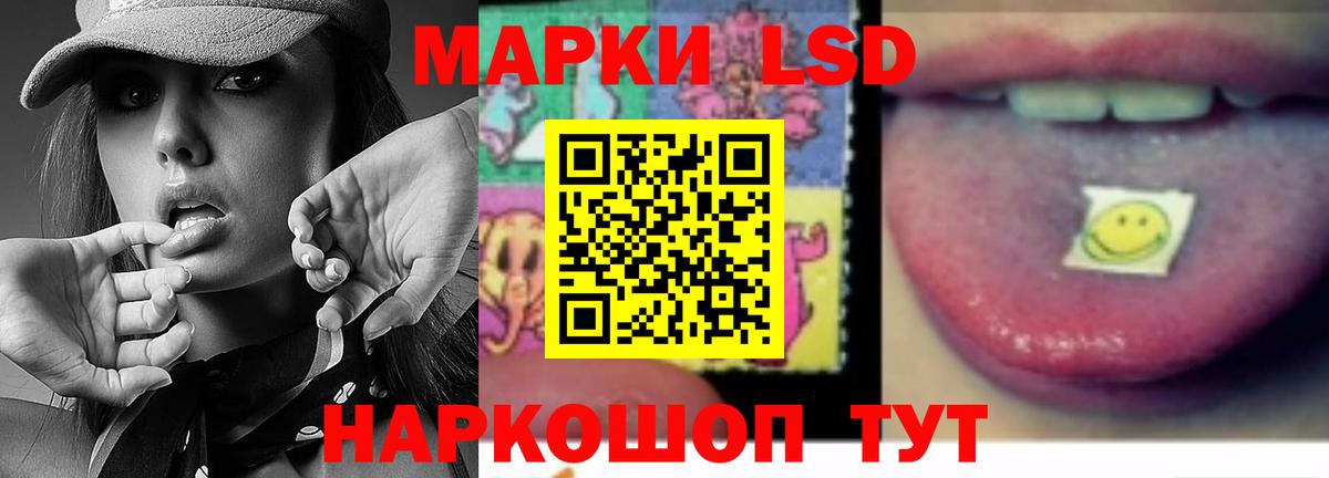 LSD-25 экстази кислота  Вход с VPN  Нововоронеж 