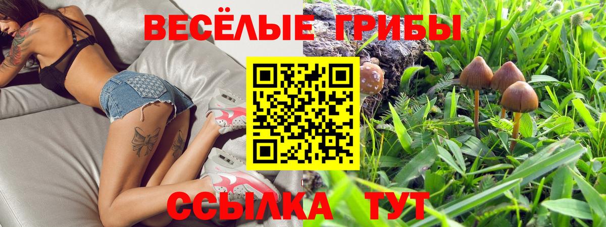 Галлюциногенные грибы Cubensis Нововоронеж