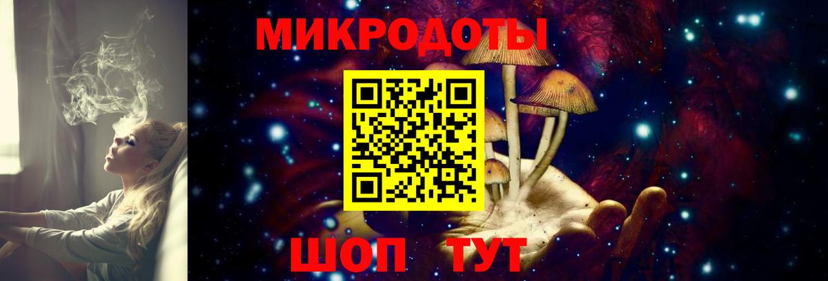 Нововоронеж  Псилоцибиновые грибы прущие грибы  Вход с VPN 